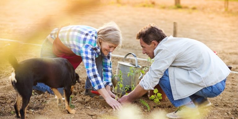 Senior Couple Gardening Outdoors with a Dog Nearby at an Assisted Living Facility